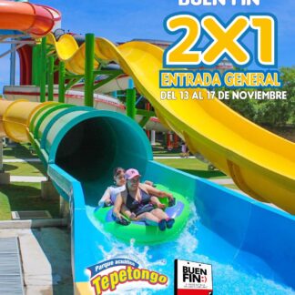 Entrada General BUEN FIN 2025