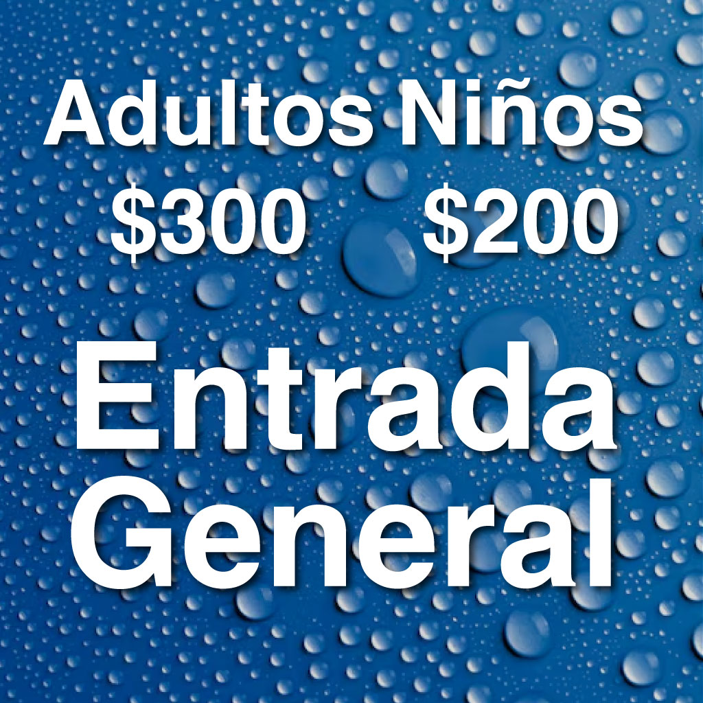0.0 Preventa Entrada General