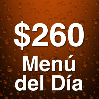 0.4 MENÚ DEL DÍA