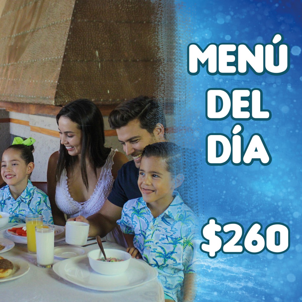 0.4 MENÚ DEL DÍA